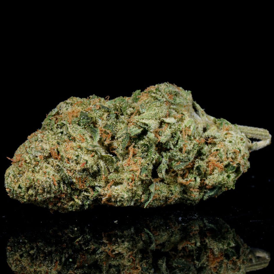 Italian Ice THCA Flower - Lost In Translation