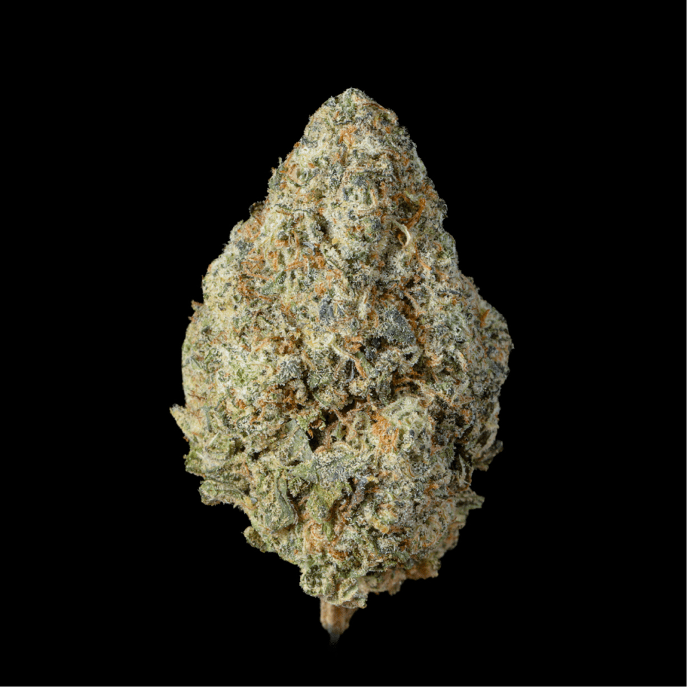 Jack Herer THCA Flower - Lost In Translation