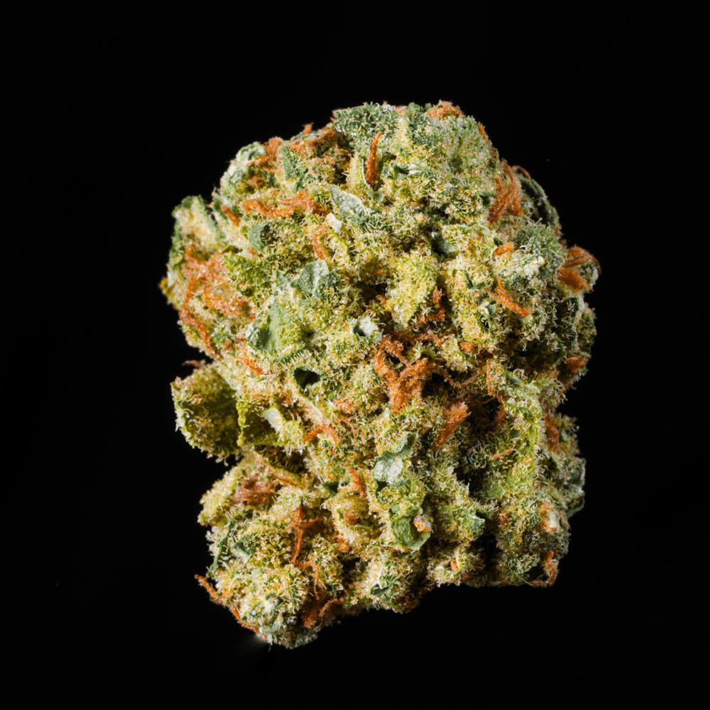 Jealousy THCA Flower - Lost In Translation