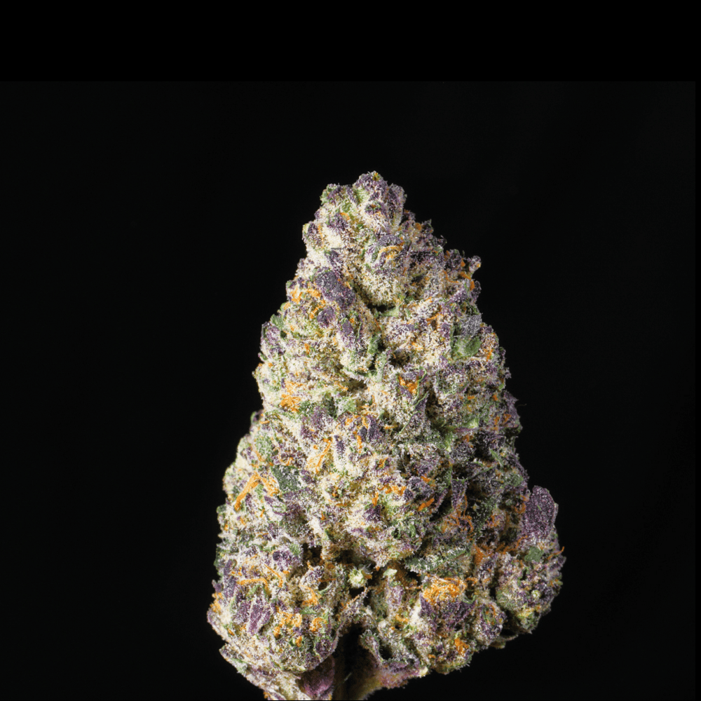 Jelly Cake THCA Flower - Lost In Translation