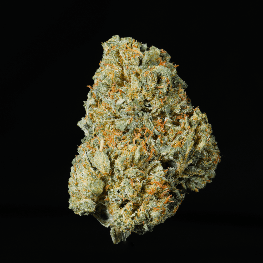 Joker's Candy THCA Flower - Lost In Translation