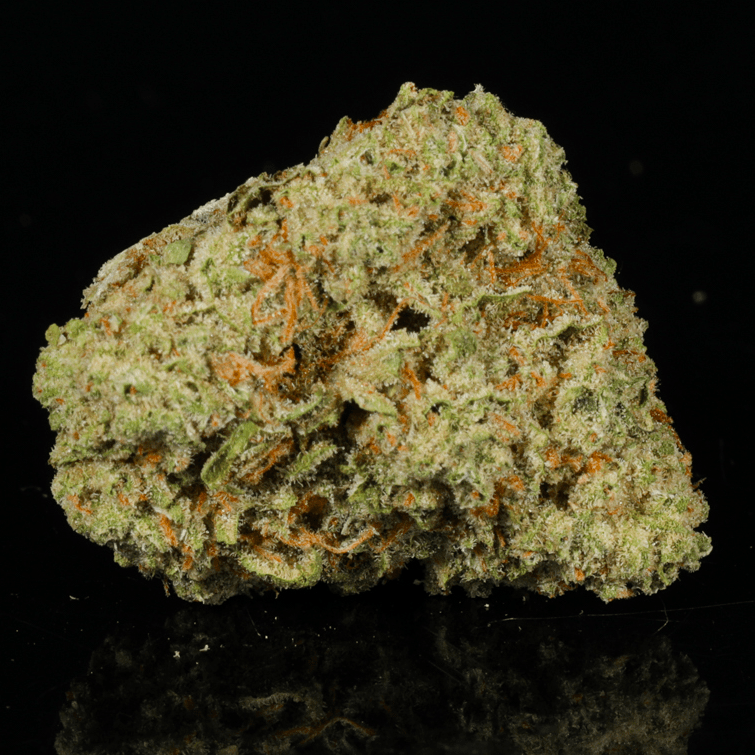 Kool Whip THCA Flower - Lost In Translation