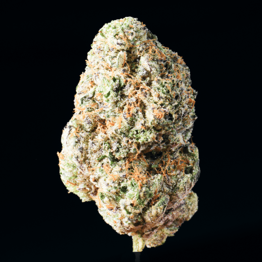 LIT OG THCA Flower - Lost In Translation