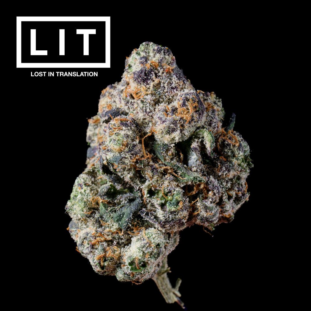 LIT OG THCA Flower - Lost In Translation