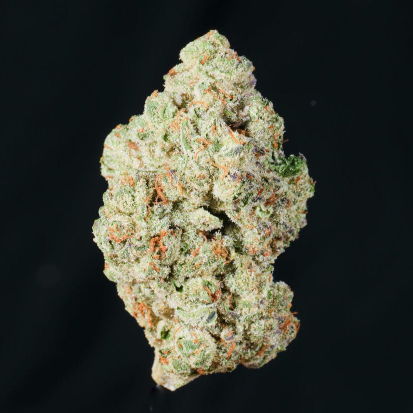 LA Kush Cake THCA Flower - Lost In Translation