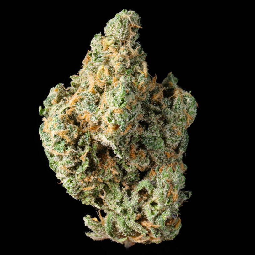 Lemon Cake THCA Flower - Lost In Translation