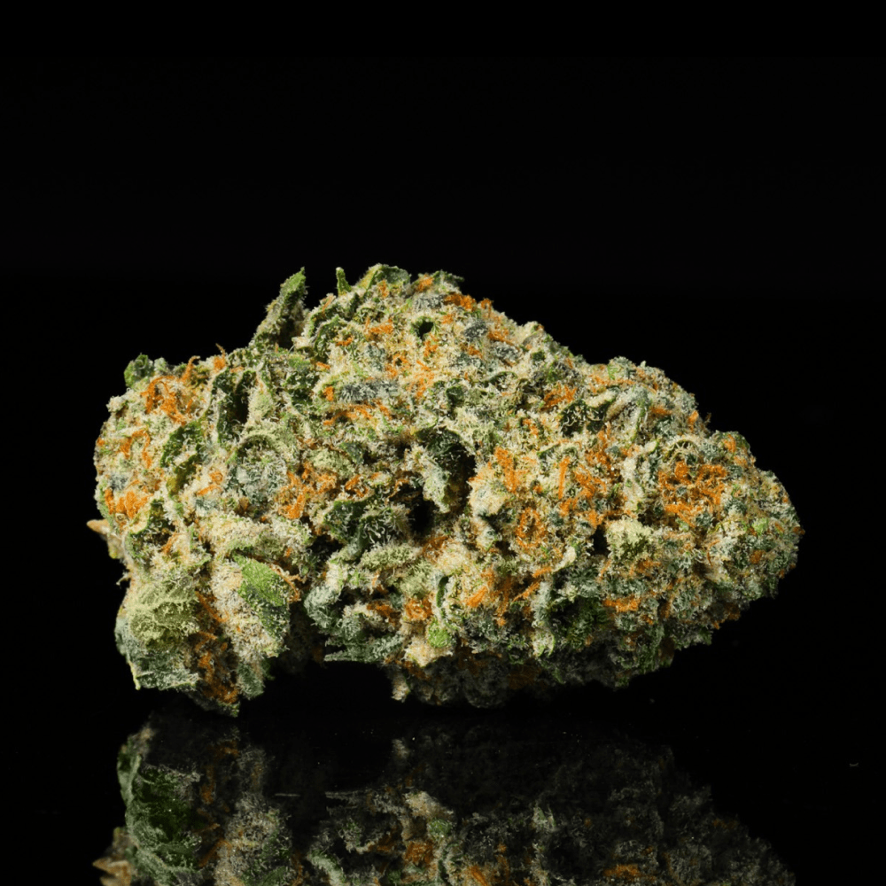 Lemon Cake THCA Flower - Lost In Translation