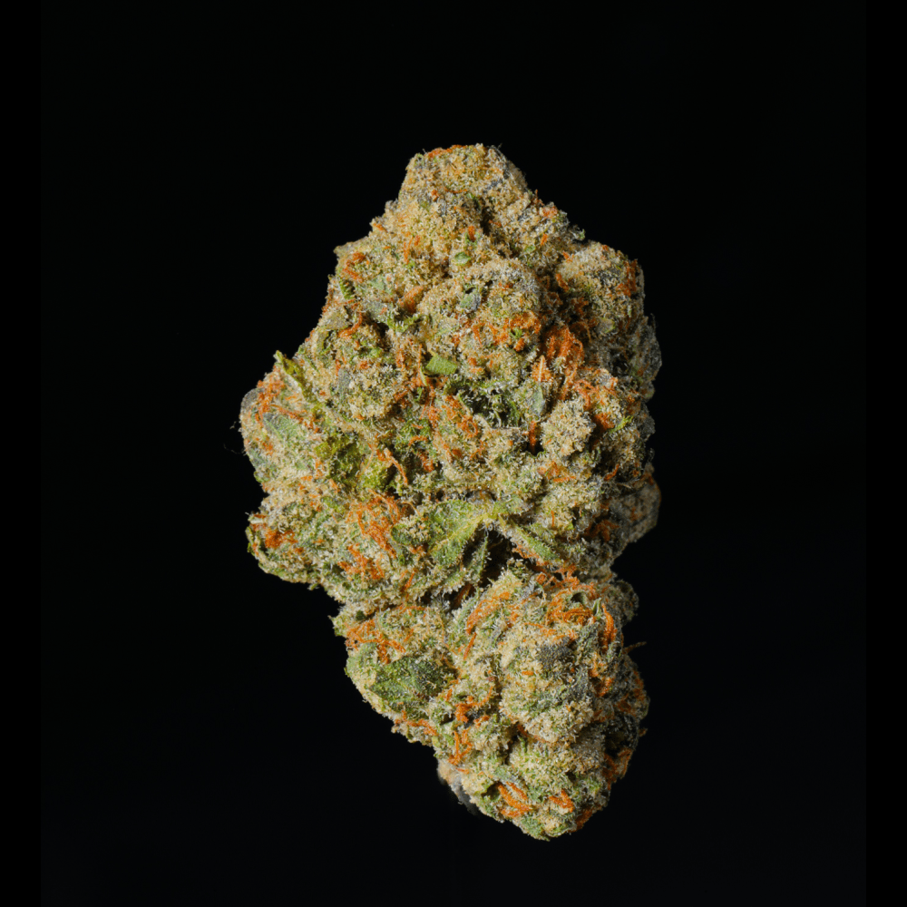 Bangkok Purple THCA Flower - Lost In Translation