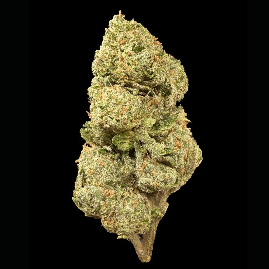 Lemon Cherry Gelato THCA Flower - Lost In Translation