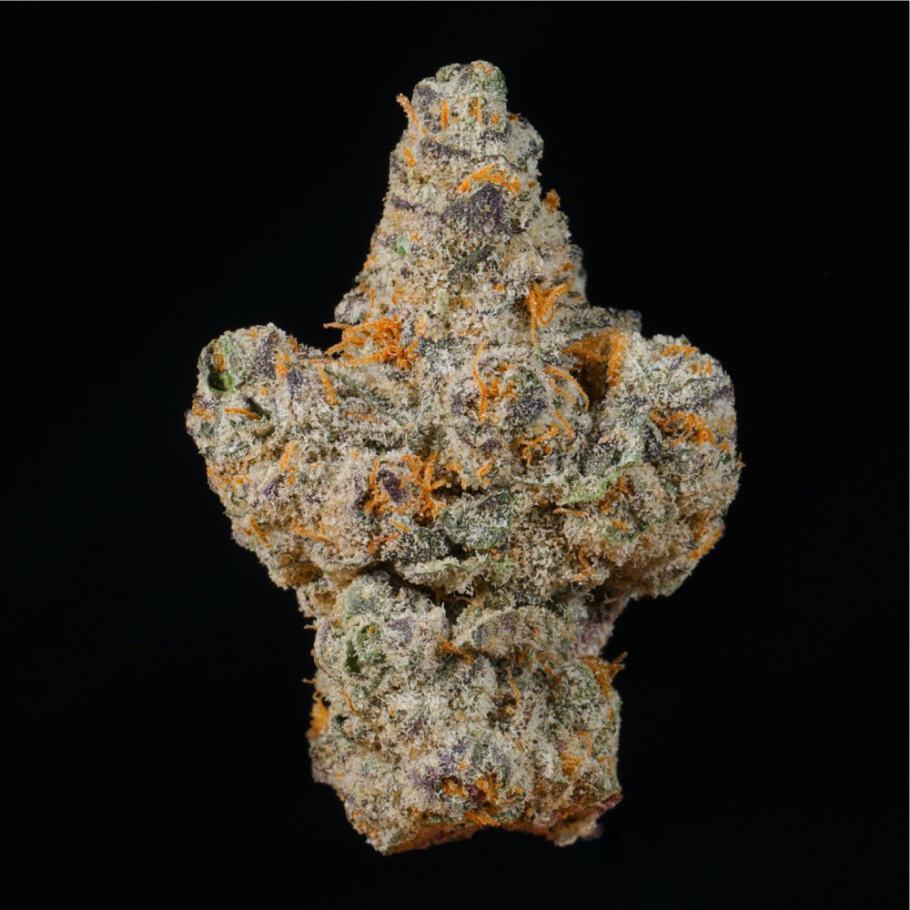 Lemon Cake THCA Flower - Lost In Translation