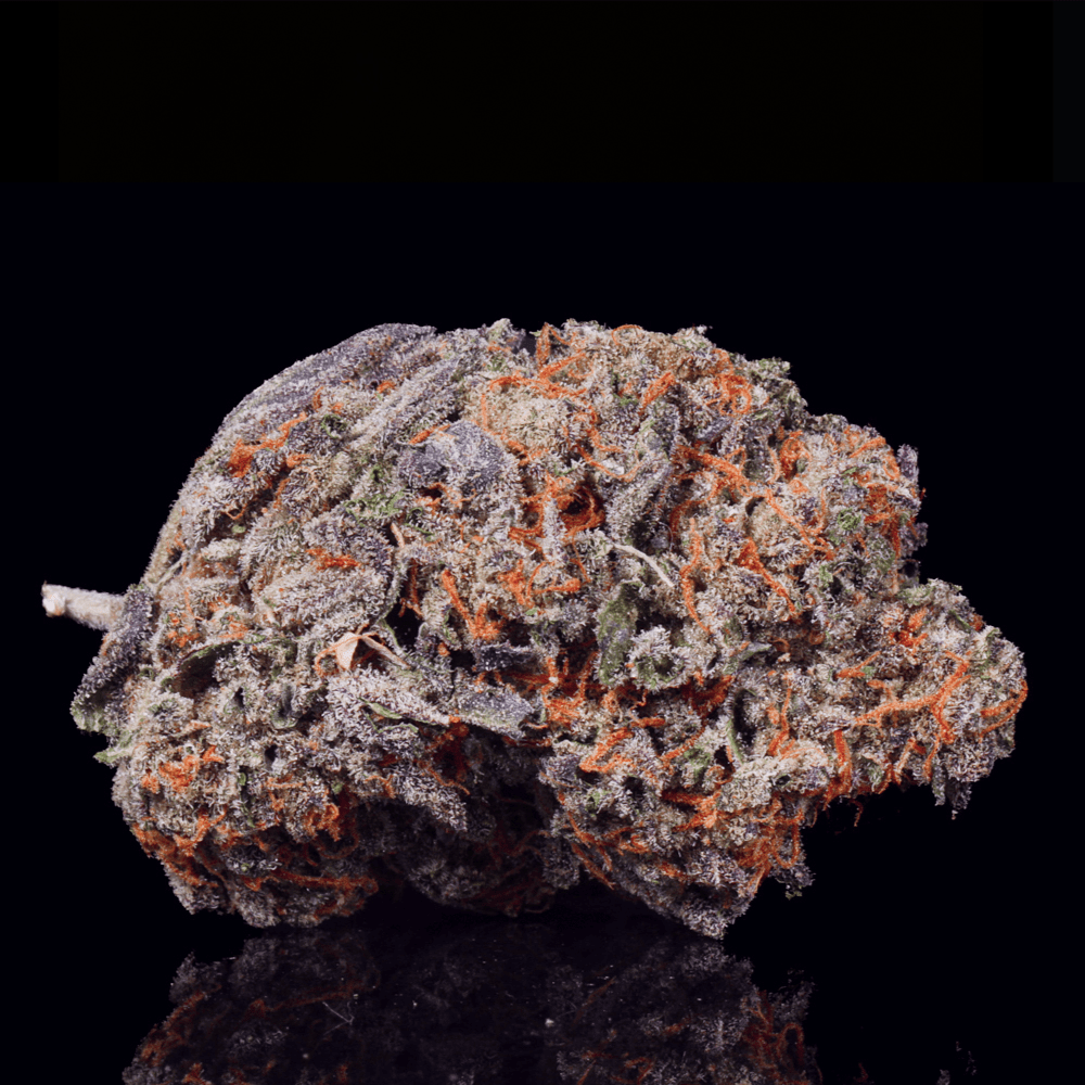 Lemon Cherry Gelato THCA Flower - Lost In Translation