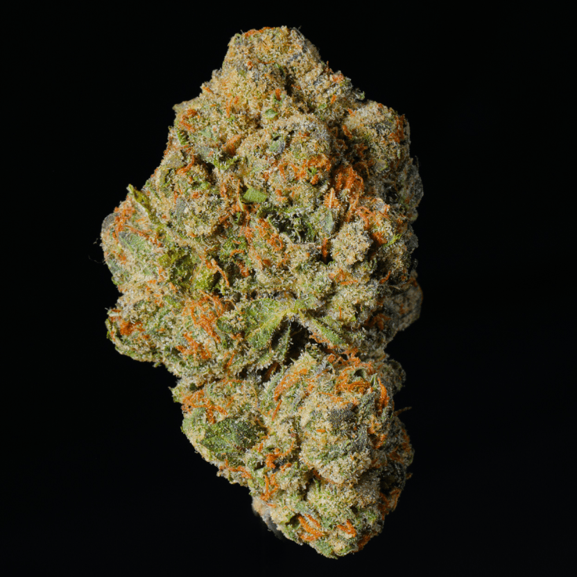 Lemon Cherry Gelato THCA Flower - Lost In Translation