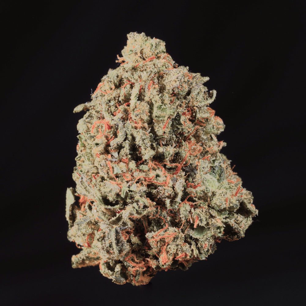 London Pound Cake THCA Flower - Lost In Translation