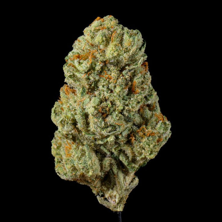 London Loud Cake THCA Flower - Lost In Translation