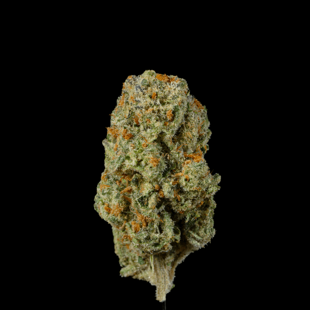 Mile High Slurpee THCA Flower - Lost In Translation