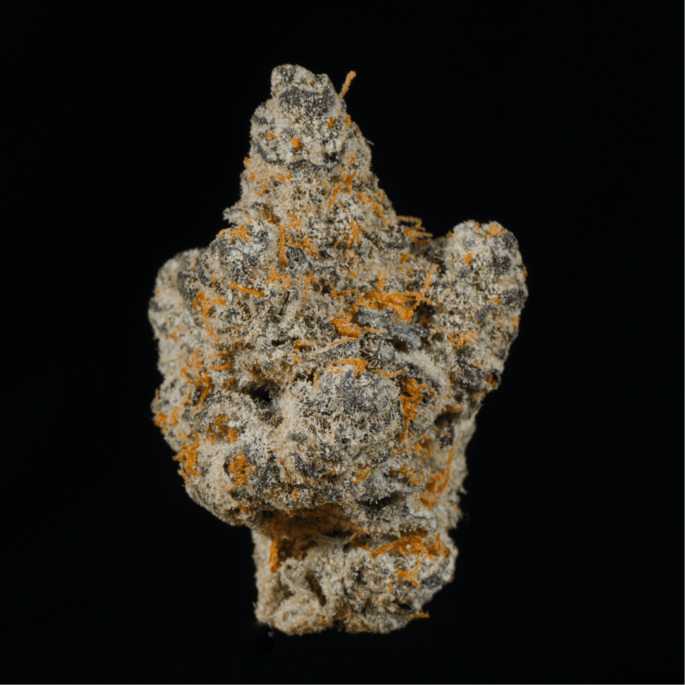 Mochi THCA Flower - Lost In Translation