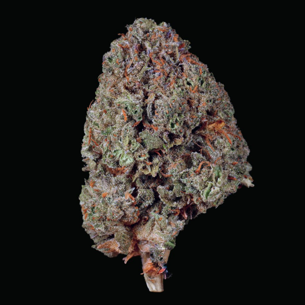 Mochi THCA Flower - Lost In Translation