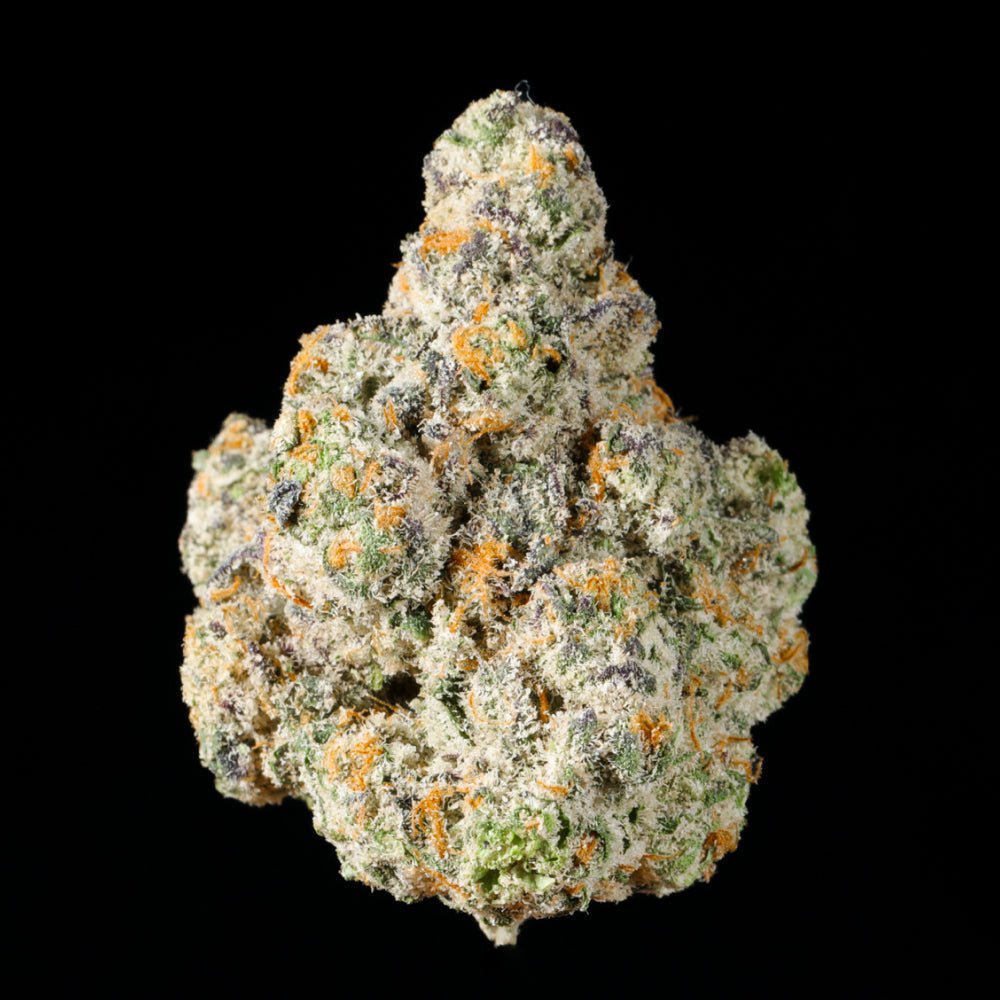 Motor OG THCA Flower - Lost In Translation