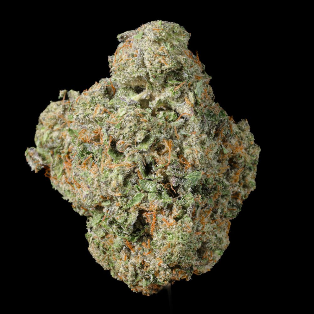 Motorbreath THCA Flower - Lost In Translation