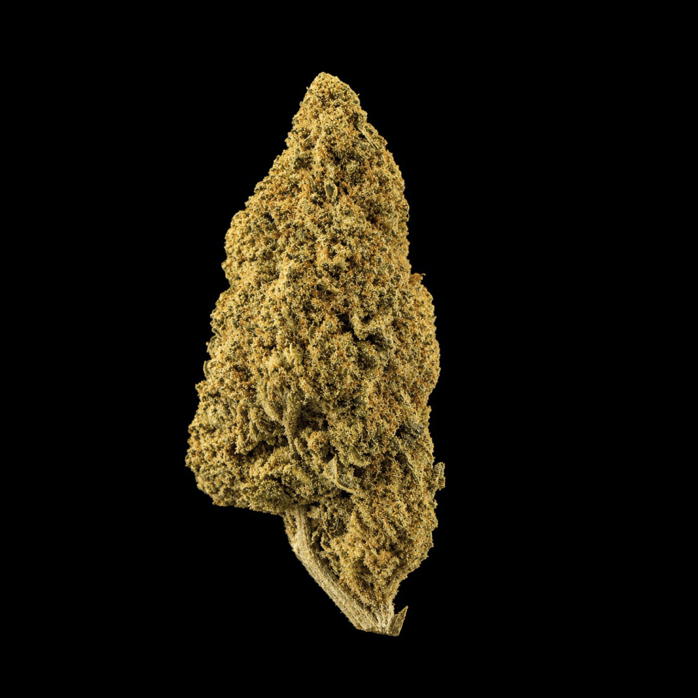 Mule Fuel THCA Flower - Lost In Translation