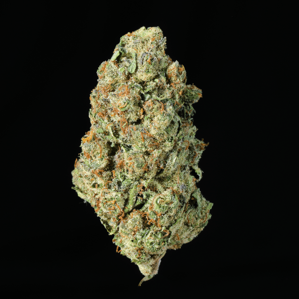 Night Moon THCA Flower - Lost In Translation
