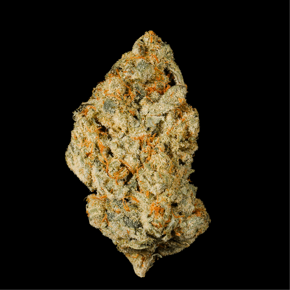 Notorious Runtz THCA Flower - Lost In Translation