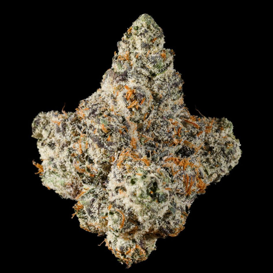 Oakland Runtz THCA Flower - Lost In Translation