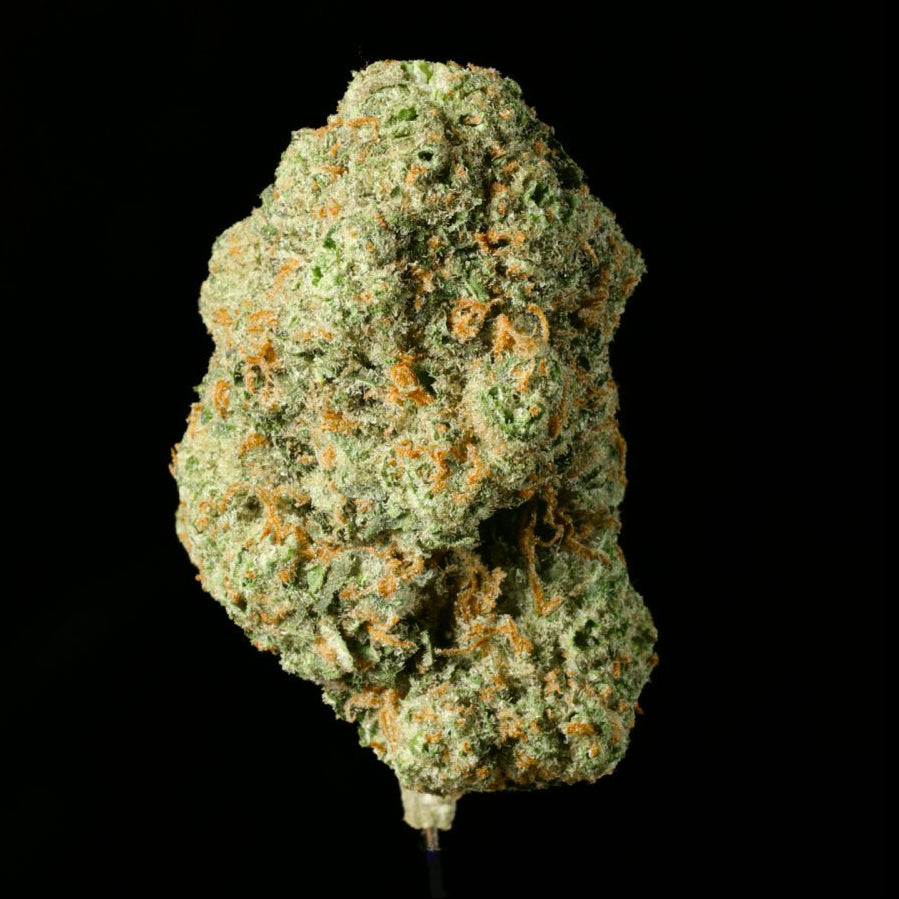 Obama Runtz THCA Flower - Lost In Translation