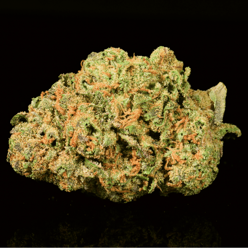 Obama Runtz THCA Flower - Lost In Translation