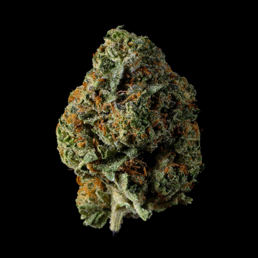 Orange Crush THCA Flower - Lost In Translation