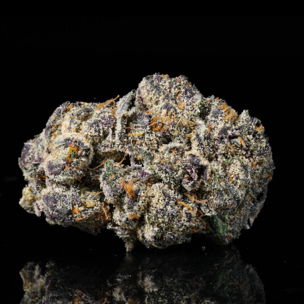 Orange Crush THCA Flower - Lost In Translation