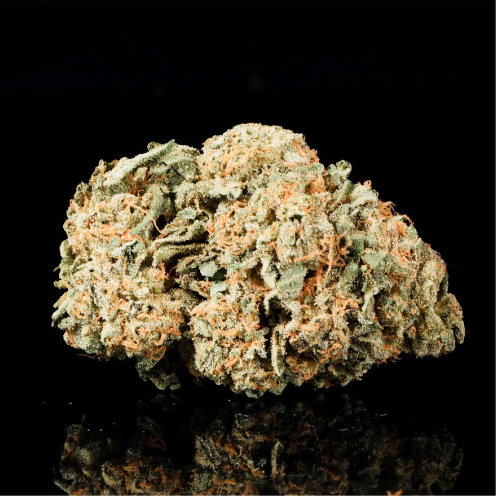 Orange Push Pop THCA Flower - Lost In Translation