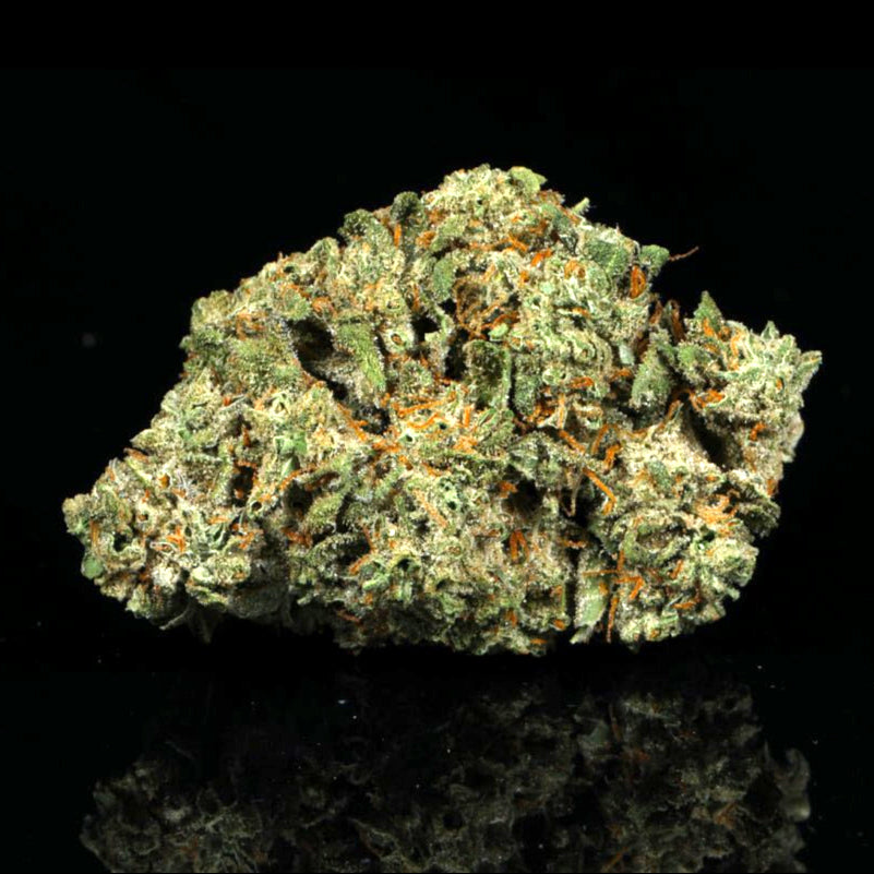 Oreoz THCA Flower - Lost In Translation