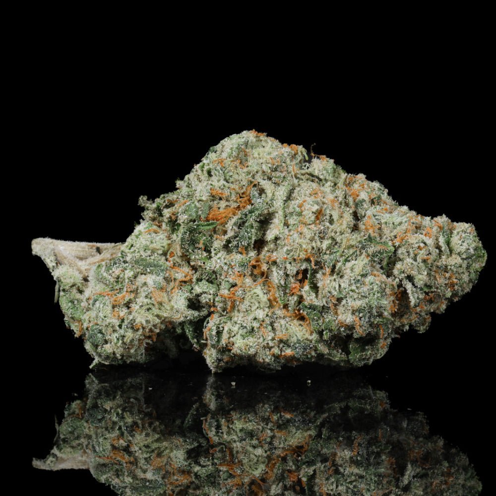 Pave THCA Flower - Lost In Translation