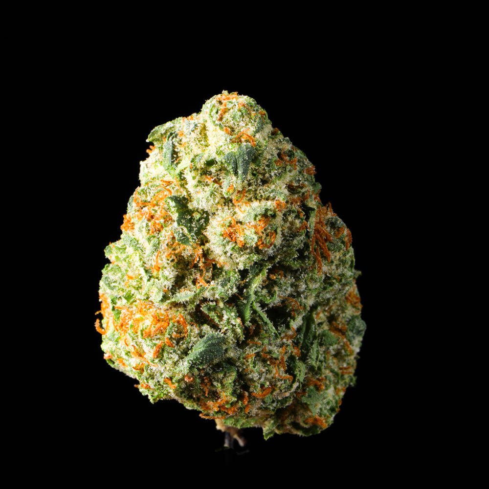 Pave THCA Flower - Lost In Translation