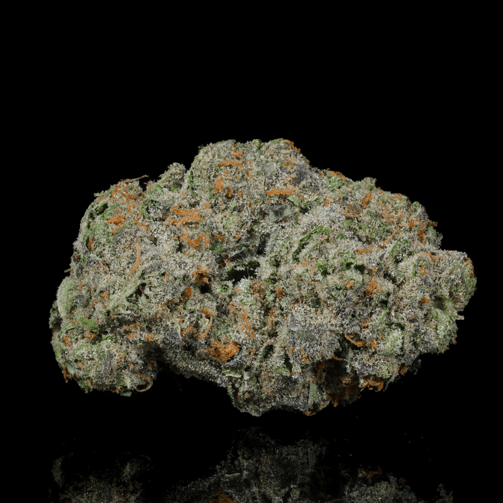 Pave THCA Flower - Lost In Translation