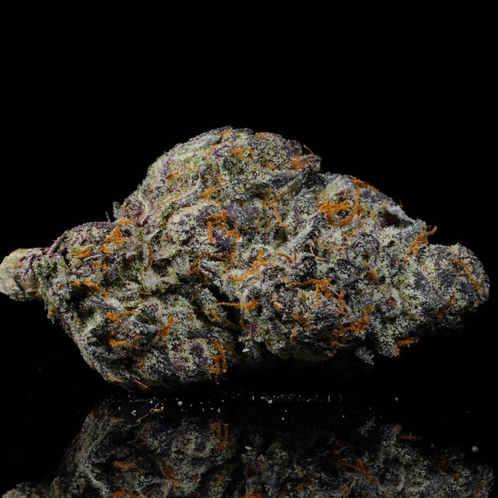 Pave THCA Flower - Lost In Translation