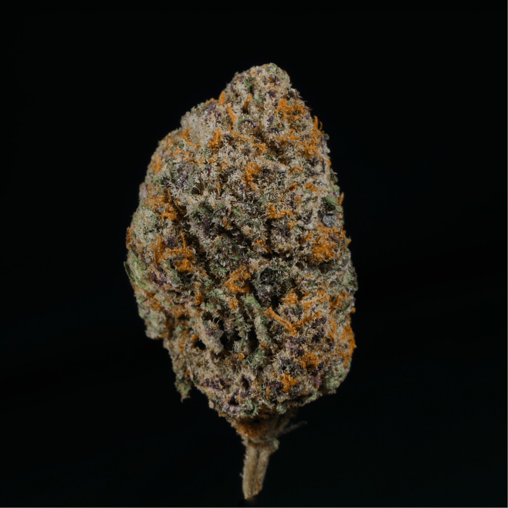Peanut Butter Breath THCA Flower - Lost In Translation