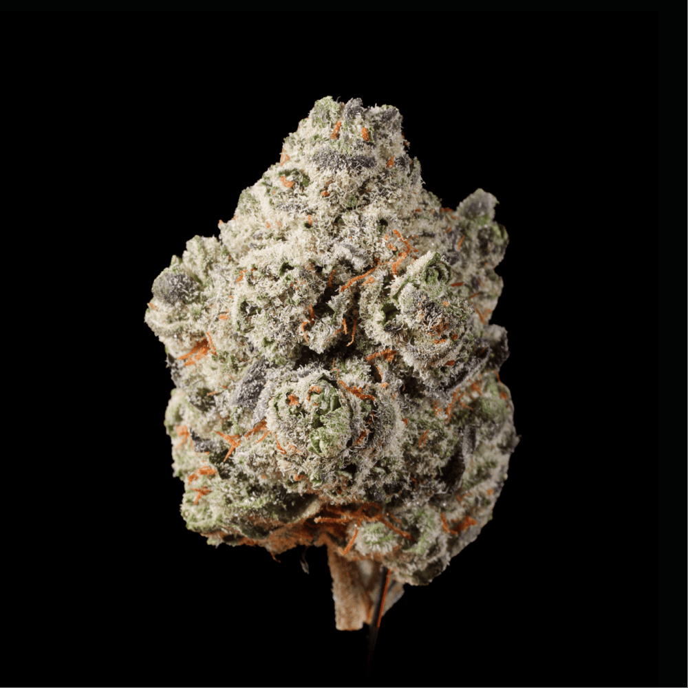 Peanut Butter & Jealousy THCA Flower - Lost In Translation