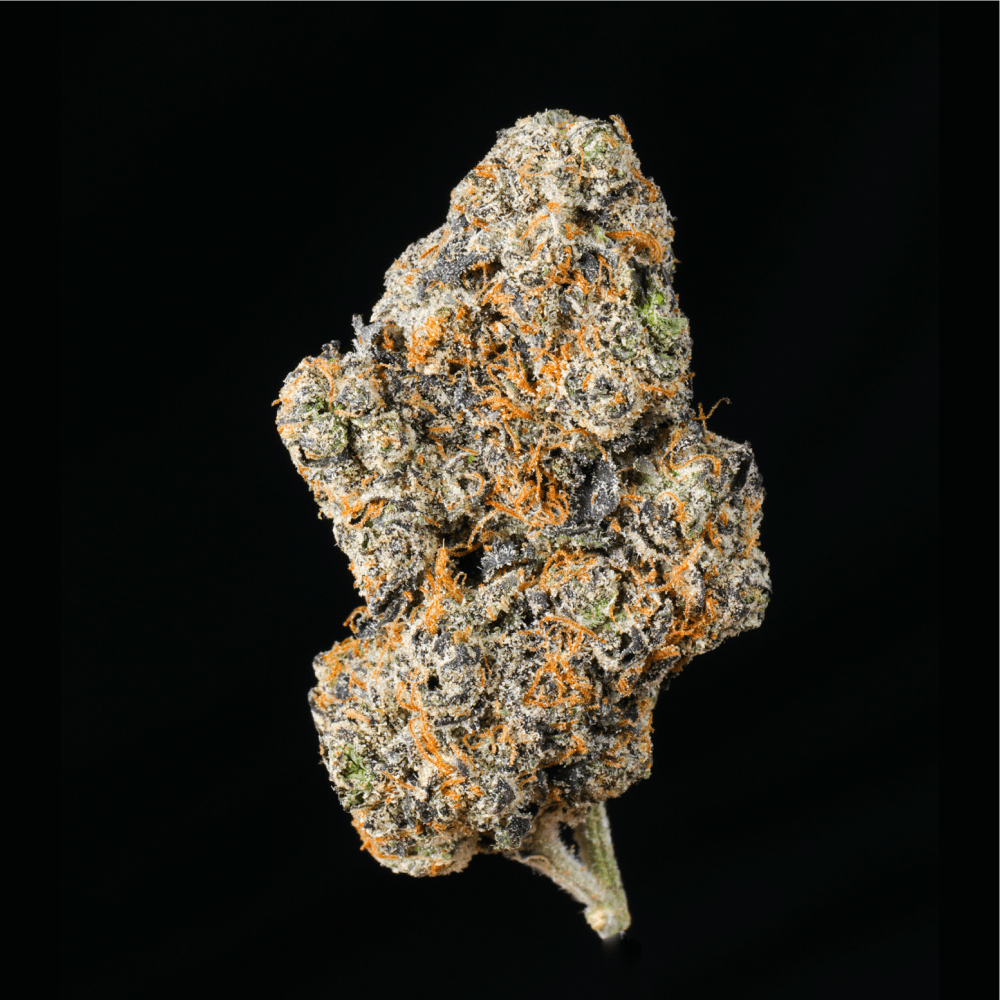 Petrol Pie THCA Flower - Lost In Translation