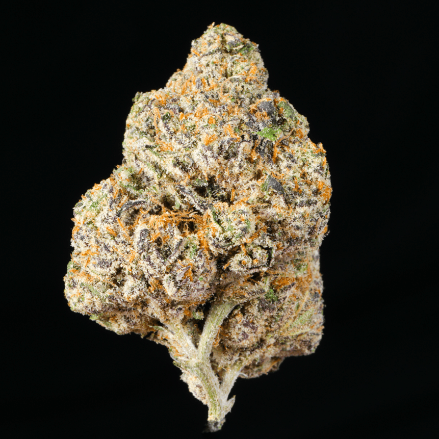 Black Runtz THCA Flower - Lost In Translation