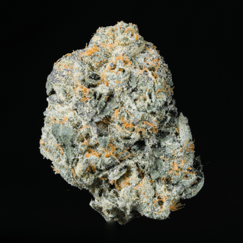 Hashburger THCA Flower - Lost In Translation