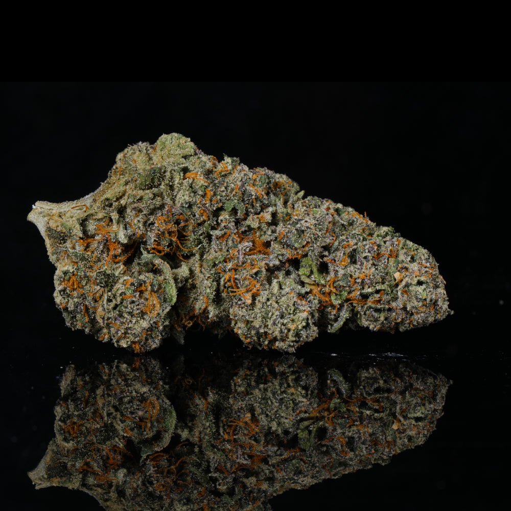 Pink Kitty THCA Flower - Lost In Translation