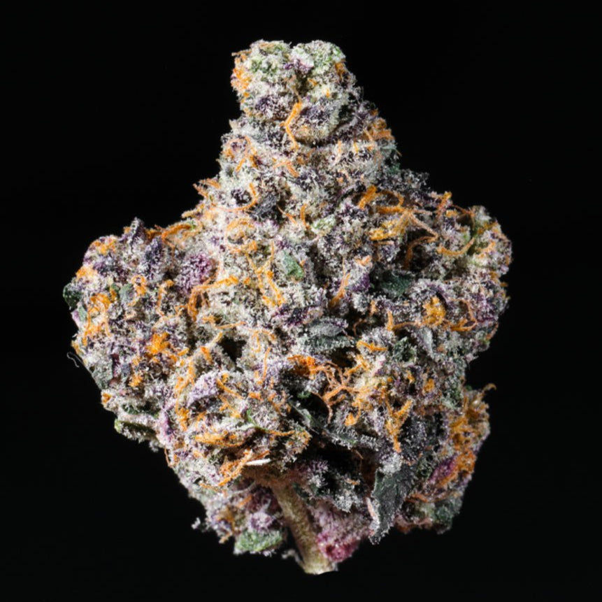 Pink Certz THCA Flower - Lost In Translation