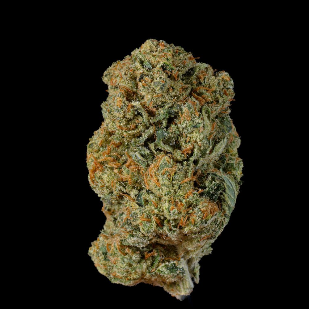 Pink Lemonade THCA Flower - Lost In Translation