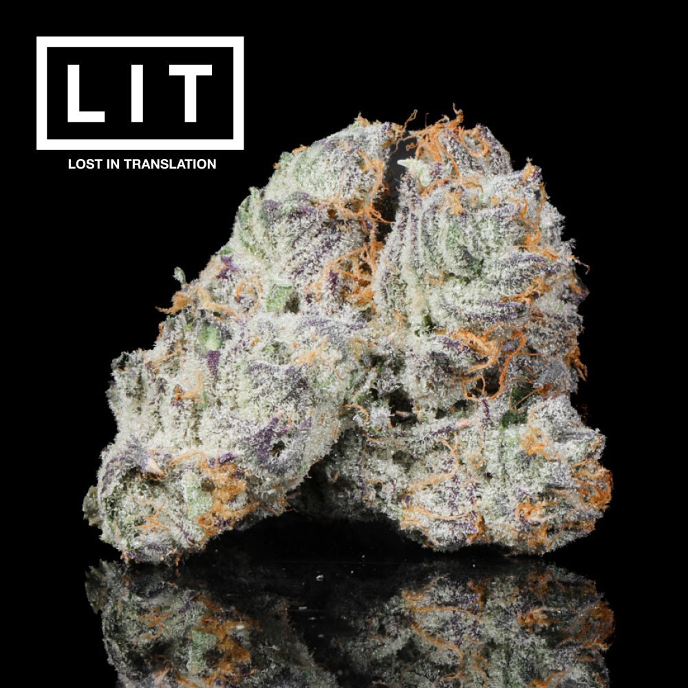 Pink Kitty THCA Flower - Lost In Translation