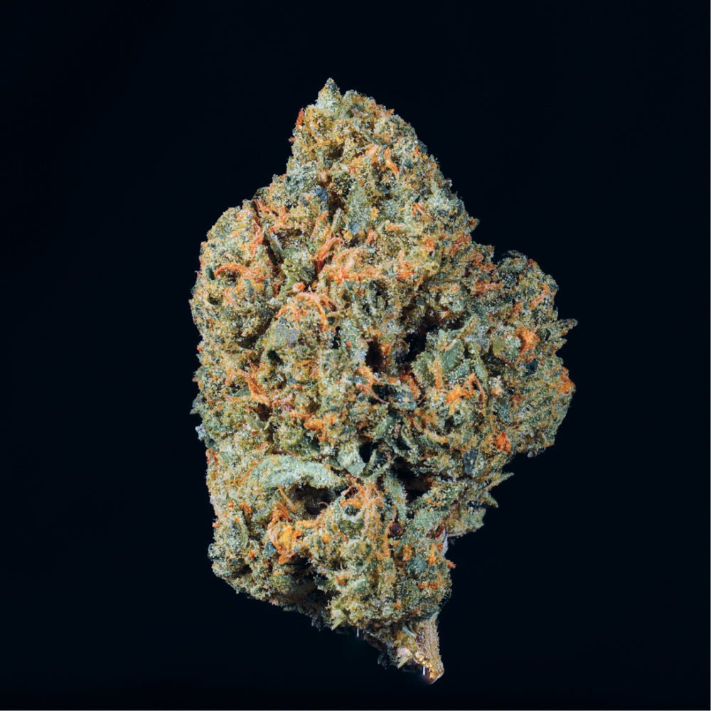 Pink Kitty THCA Flower - Lost In Translation