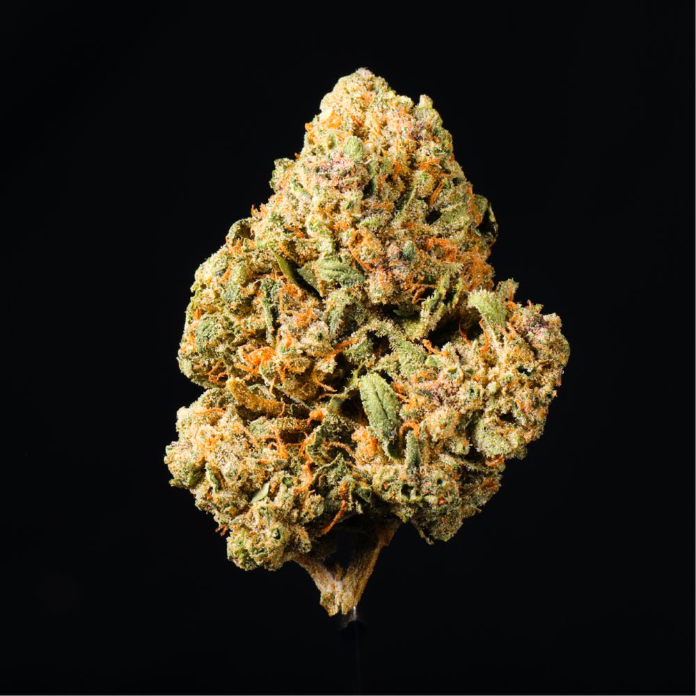 Pink Runtz THCA Flower - Lost In Translation