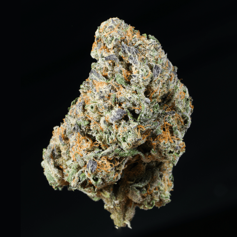 Pinnacle THCA Flower - Lost In Translation