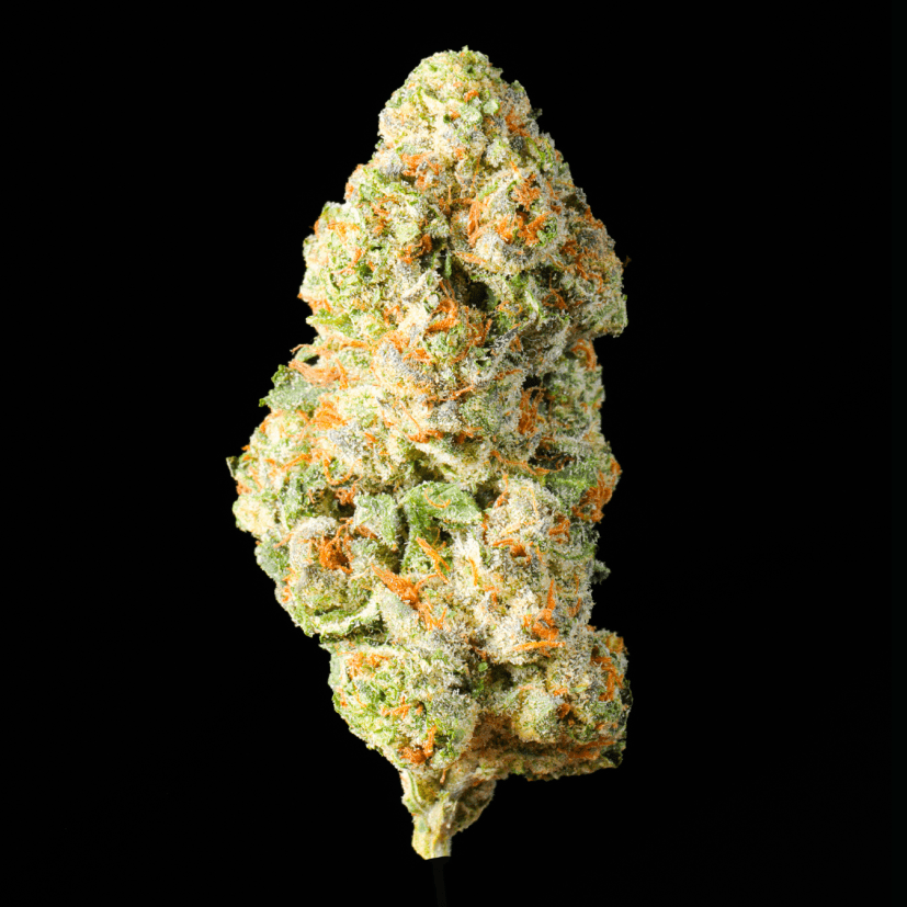 Pinnacle THCA Flower - Lost In Translation